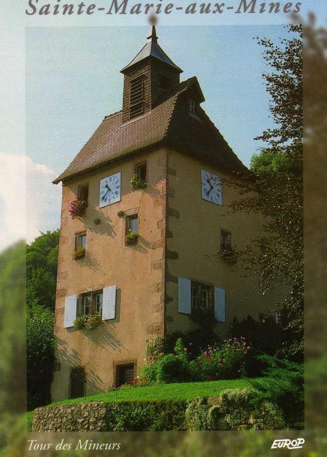 Les Lilas Sainte-Marie-aux-Mines Bagian luar foto