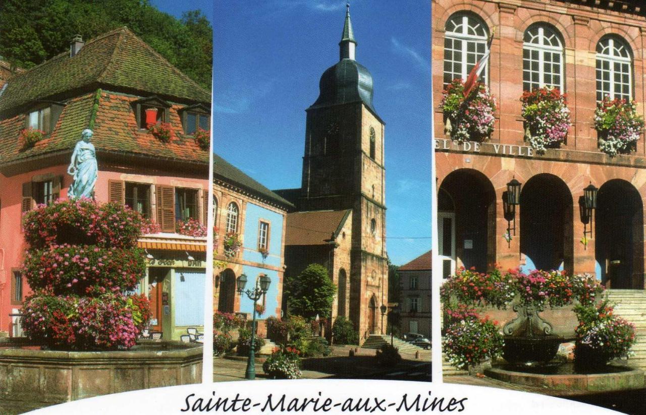 Les Lilas Sainte-Marie-aux-Mines Bagian luar foto